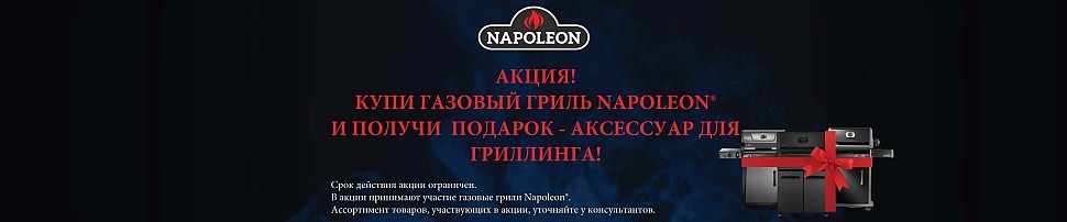 Газовые грили Napoleon в Воронеже